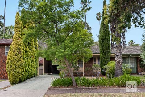 Property photo of 26 Myall Avenue Kensington Gardens SA 5068
