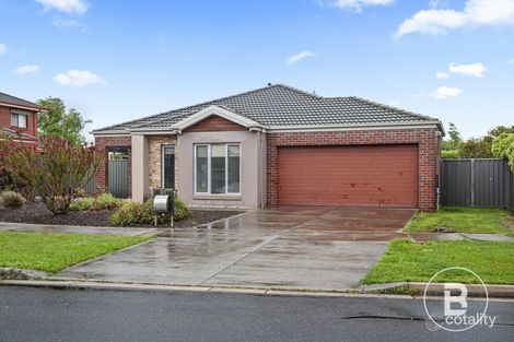 Property photo of 31 Dorset Drive Alfredton VIC 3350