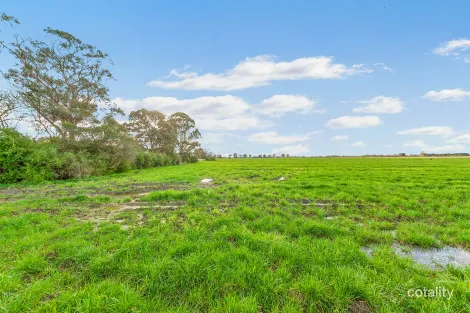 Property photo of 165 Forrest Road Yannathan VIC 3981