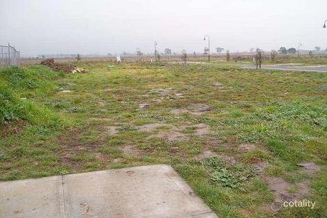 1 Hal Porter Tce, Lynbrook, VIC 3975