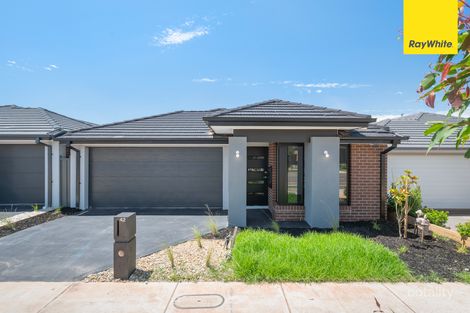 42 Adelong Bvd, Cobblebank, VIC 3338