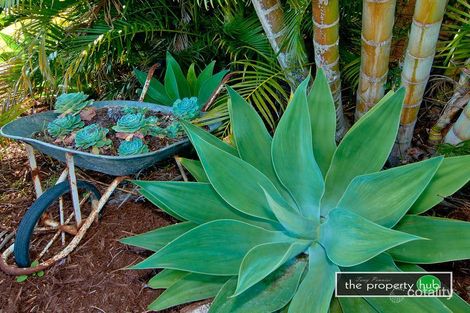 Property photo of 37 Cramer Boulevard Mount Warren Park QLD 4207