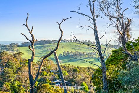 Property photo of 10 Ferguson Street Upwey VIC 3158