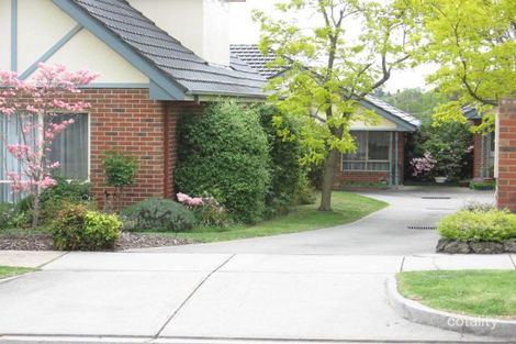 Property photo of 2/17-19 St Albans Street Mount Waverley VIC 3149