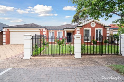 12 Newberry Ave, Morphettville, SA 5043