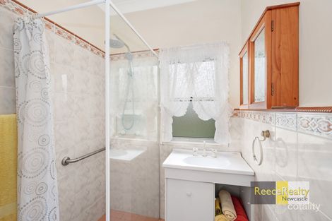 Property photo of 13 Douglas Street Wallsend NSW 2287
