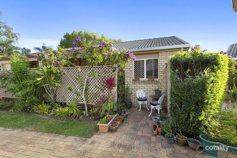 Property photo of 3/5 Sylvia Street Noosaville QLD 4566
