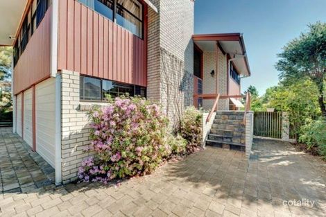 3 Pavo St, Camp Hill, QLD 4152