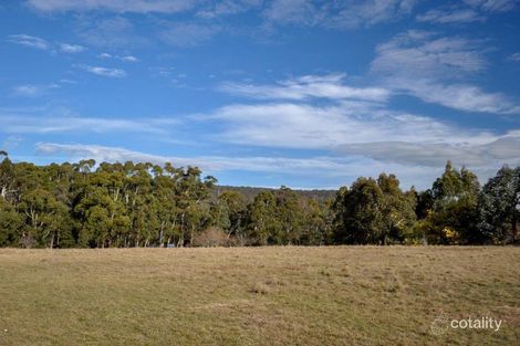 Property photo of 2579 Mansfield-Whitfield Road Tolmie VIC 3723