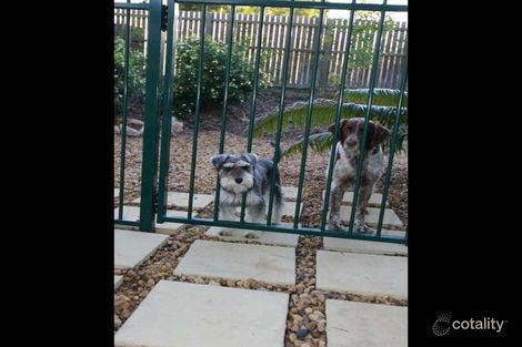 Property photo of 14 Chestnut Place Forest Lake QLD 4078