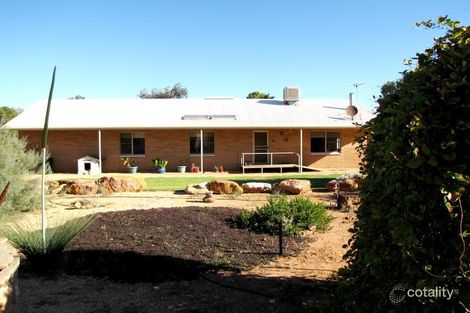 Property photo of 738 Thiele Road Loveday SA 5345