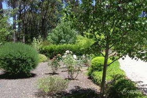 Property photo of 39 Wilpena Terrace Aldgate SA 5154