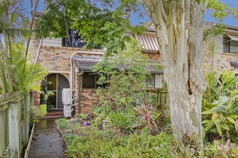 1/96 Wynyard St, Cleveland, QLD 4163