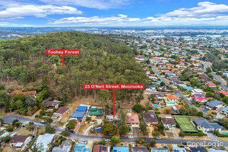 Property photo of 23 Oneil Street Moorooka QLD 4105