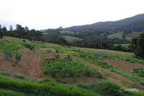 Property photo of 151 Beverleys Road Megan NSW 2453