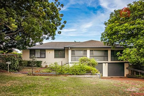 Property photo of 245 Paterson Road Bolwarra Heights NSW 2320