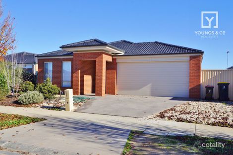 Property photo of 11 Kosciuszko Crescent Shepparton North VIC 3631