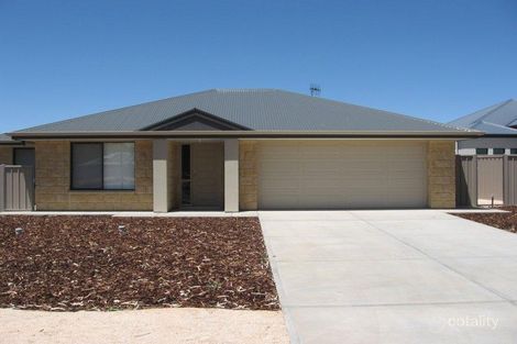 17 Orchard Dr, Renmark, SA 5341