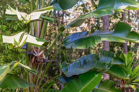 Property photo of 68 Honeydew Place Ninderry QLD 4561