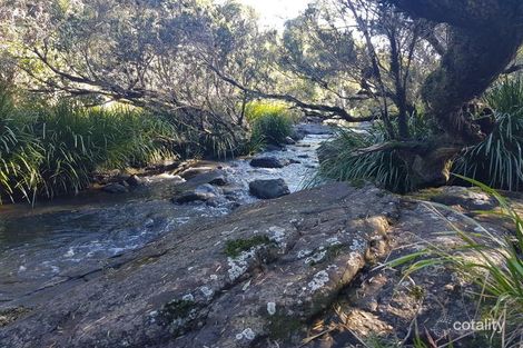 Property photo of 29 Skyring Street Yandina QLD 4561