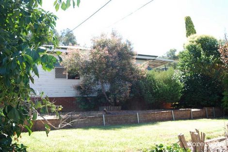 Property photo of 34 Warrawong Street Kooringal NSW 2650