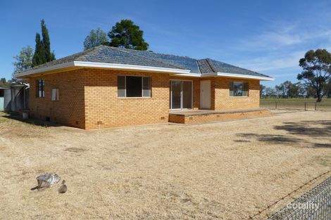 1126 Pinnacle Rd, Garema, NSW 2871