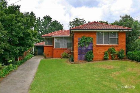 Property photo of 113 Cecil Avenue Castle Hill NSW 2154