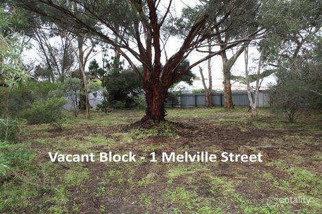 Property photo of 31 North Parade Strathalbyn SA 5255