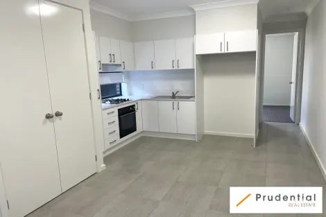 119 Rynan Ave, Edmondson Park, NSW 2174