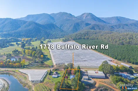 Property photo of 1778 Buffalo River Road Buffalo River VIC 3737