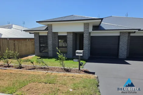 Property photo of 176 Settlers Boulevard Chisholm NSW 2322