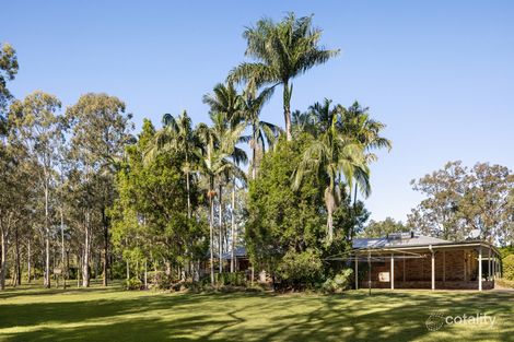 Property photo of 217 Middle Road Boronia Heights QLD 4124