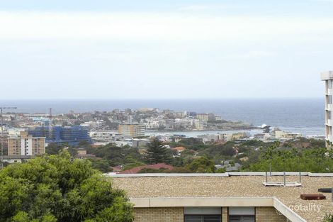 Property photo of 9/11-13 Penkivil Street Bondi NSW 2026