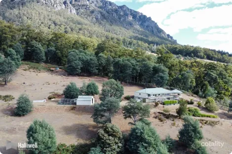Property photo of 50 Currawong Road Claude Road TAS 7306