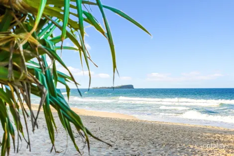 Property photo of 115 Mudjimba Beach Road Mudjimba QLD 4564