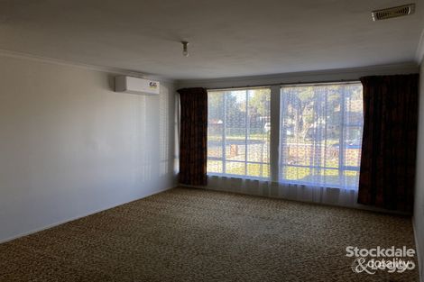 Property photo of 29 Morrish Road Shepparton VIC 3630