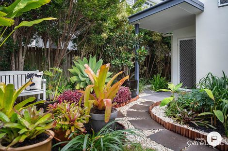 Property photo of 7 Park Street Hawthorne QLD 4171