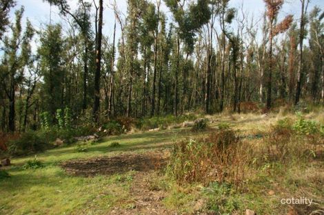 Property photo of 308 Singles Ridge Road Yellow Rock NSW 2777
