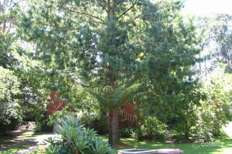 1 Banksia St, Normanhurst, NSW 2076