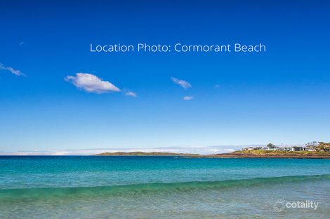 Property photo of 10 Oriole Street Bawley Point NSW 2539