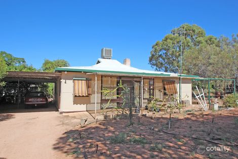 198 Tarcoola St, Renmark West, SA 5341