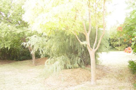Property photo of 81 Sherbrooke Street Ainslie ACT 2602