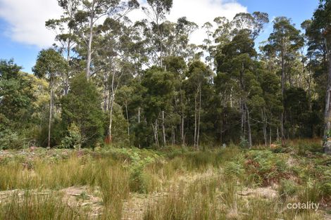 447 Weetah Rd, Weetah, TAS 7304