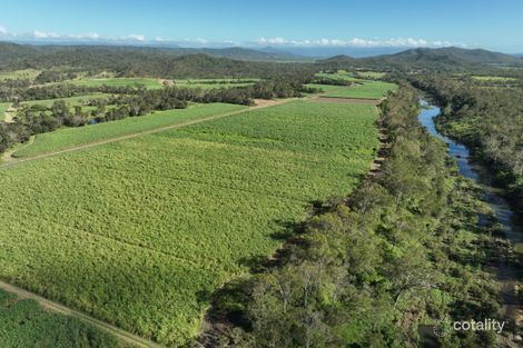 294 Pinevale Rd, Pinevale, QLD 4754