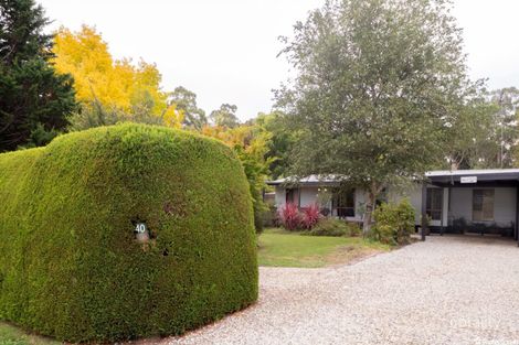Property photo of 40 Mareeba Avenue Buxton VIC 3711