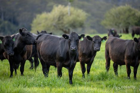 4690 Waterfall Way, Fernbrook, NSW 2453