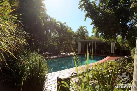 Property photo of 35 Morrow Street Taringa QLD 4068