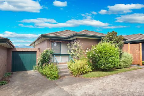 3/10 Hill St, Box Hill South, VIC 3128