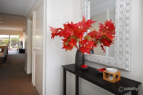 Property photo of 3/10 Tasman Place Lyons ACT 2606