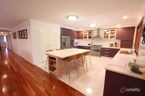 Property photo of 51 Shelley Street Sunnybank QLD 4109